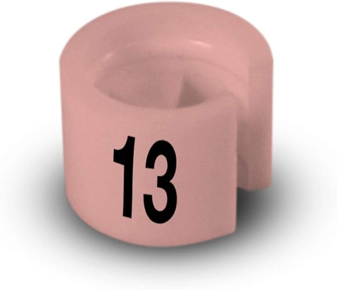 Printed Colored Hanger Size Markers - 100pcs/bag (13)