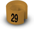 Printed Colored Hanger Size Markers - 100pcs/bag (29)