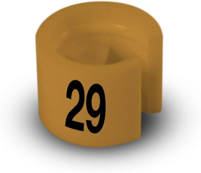 Printed Colored Hanger Size Markers - 100pcs/bag (29)