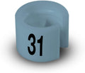 Printed Colored Hanger Size Markers - 100pcs/bag (31)