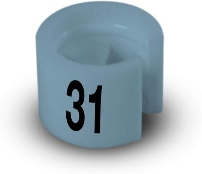 Printed Colored Hanger Size Markers - 100pcs/bag (31)