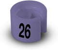 Printed Colored Hanger Size Markers - 100pcs/bag (26)