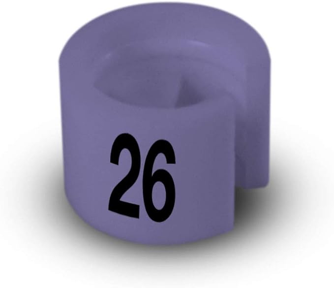 Printed Colored Hanger Size Markers - 100pcs/bag (26)