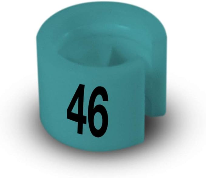 Printed Colored Hanger Size Markers - 100pcs/bag (46)
