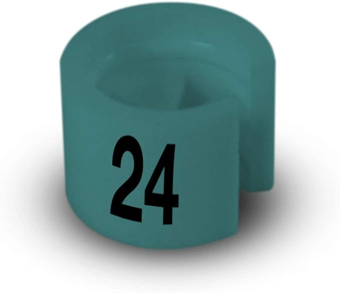 Printed Colored Hanger Size Markers - 100pcs/bag (24)