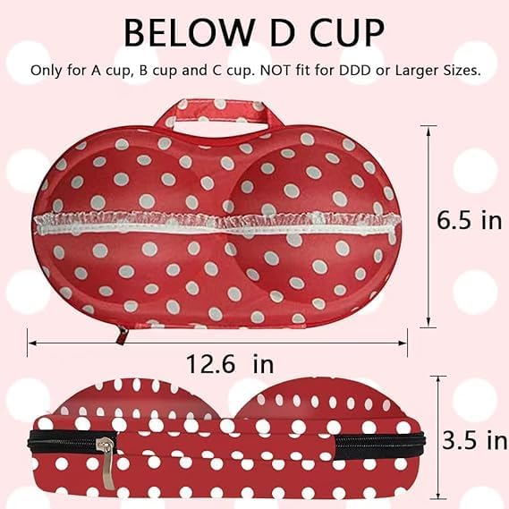 Travel Home Organizer Zip Bag Case Portable Bra Storage Bag Waterproof Bra and Underwear (zebra-stripe)