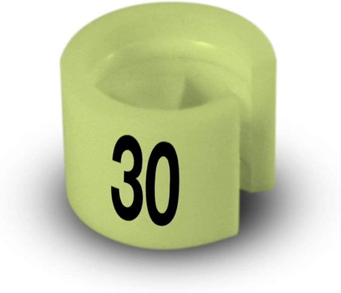 Printed Colored Hanger Size Markers - 100pcs/bag (30)