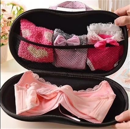 Travel Home Organizer Zip Bag Case Portable Bra Storage Bag Waterproof Bra and Underwear (zebra-stripe)