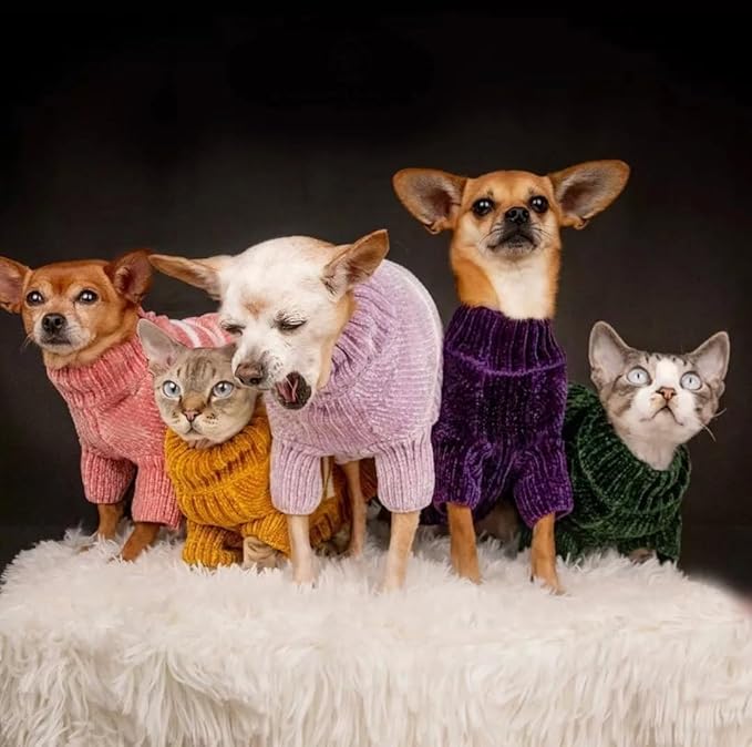 Blueberry Pet Cozy Soft Chenille Classy Striped Dog Sweater in Dark Plum, Back Length 12", Pack of 1 Clothes for Dogs
