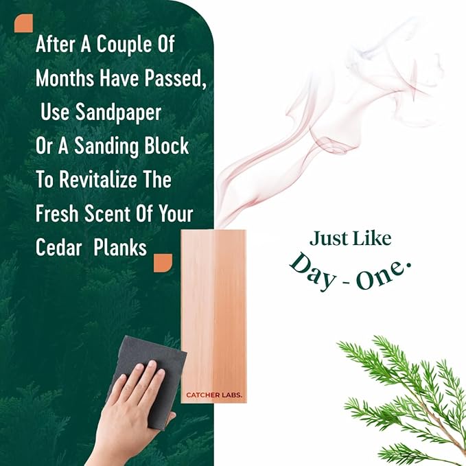 Catcher Labs Cedar Planks | Blocks for Clothes and Storage | Better Than Moth Balls | Cedar Hangers Clothes (10-Pack)