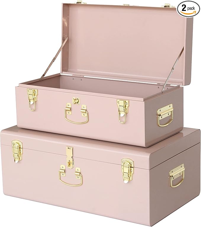 Vixdonos Decorative Metal Box Storage Trunks Set of 2 College Dorm Chest with Handle (Pink)