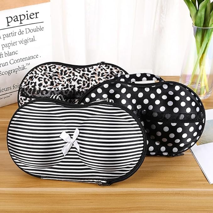 Travel Home Organizer Zip Bag Case Portable Bra Storage Bag Waterproof Bra and Underwear