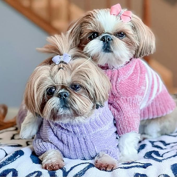 Blueberry Pet Cozy Soft Chenille Classy Striped Dog Sweater in Lavender Frost, Back Length 22", Pack of 1 Clothes for Dogs