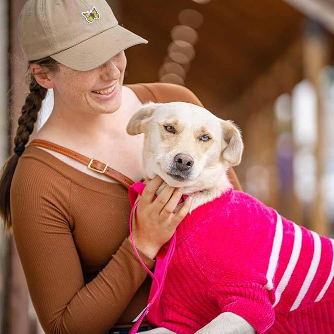 Blueberry Pet Cozy Soft Chenille Classy Striped Dog Sweater in Hot Pink, Back Length 16", Pack of 1 Clothes for Dogs