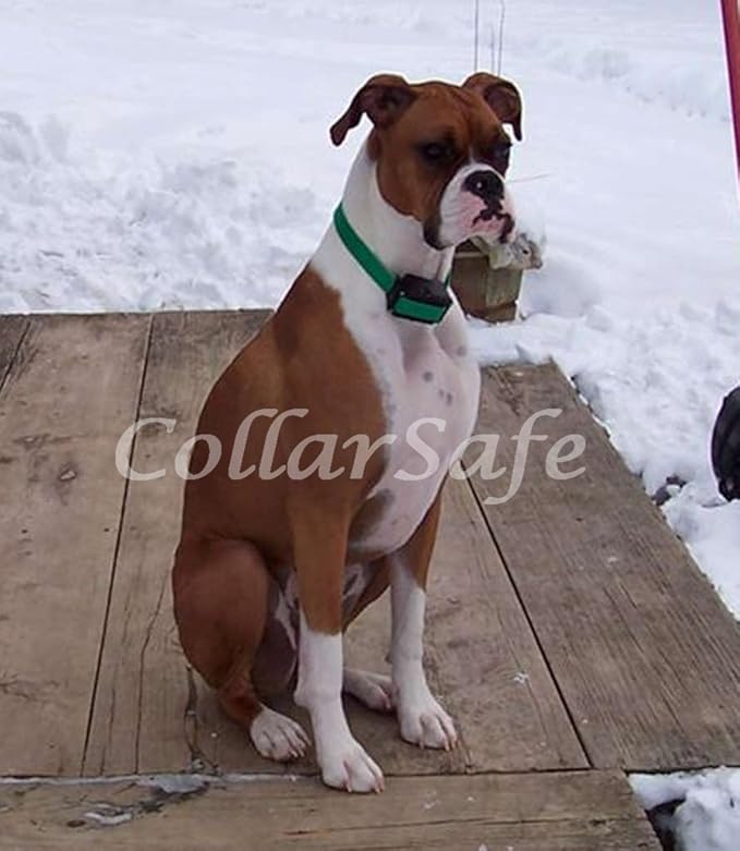 CollarSafe Replacement Collar NO Holes Fit PetSafe Stay & Play Wireless PIF00-12918 12917, Sonic Bark, Pawz Away, SportDog NoBark - Weaves Around Module - NO Holes/Read/Look at Photos