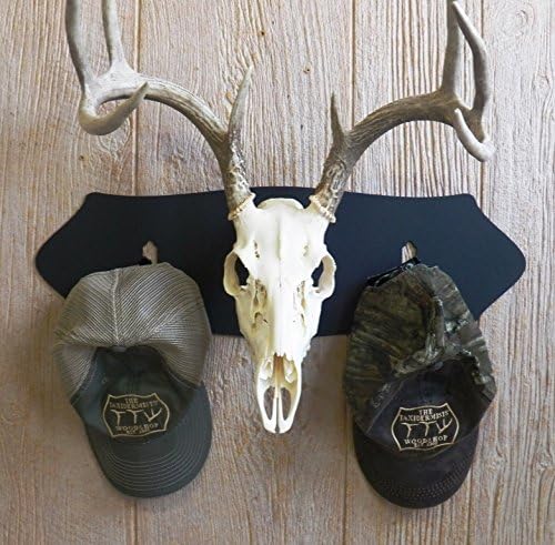 The Taxidermists Woodshop Hat & Coat Rack European Mount Skull Hanger