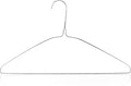 HANGERWORLD Silver Metal Wire Clothes Hangers 16inch 13 Gauge Clothes Garment Coat Hanger (10 Pack)