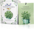 Vanilla Scented Sachet Bags - 12 Pack Closet & Drawer Freshener, Long Lasting Odor Eliminator for Wardrobes, Cars & Storage, Home Fragrance Air Freshener Sachets