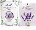 Lavender Scented Sachet Bags - 12 Pack Closet & Drawer Freshener, Long Lasting Odor Eliminator for Wardrobes, Cars & Storage, Home Fragrance Air Freshener Sachets