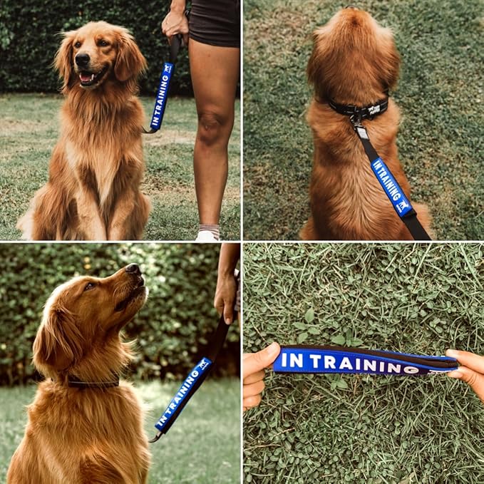 Tuff Pupper Waterproof Leash Sleeve | Fits Any Standard Size 1 Inch Wide Leash | Dual Sided Message | Durable Neoprene & Silicone | Odor & Stink Proof | Easy Secure On & Off (1 Pack, in Training)