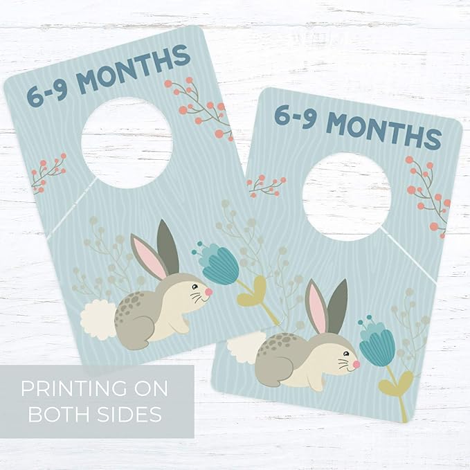 Woodland Closet Clothing Size Dividers / 4" x 6" Closet Organizers for Newborn Baby to 4T Clothes / 10 Forest Animal Baby Closet Size Dividers