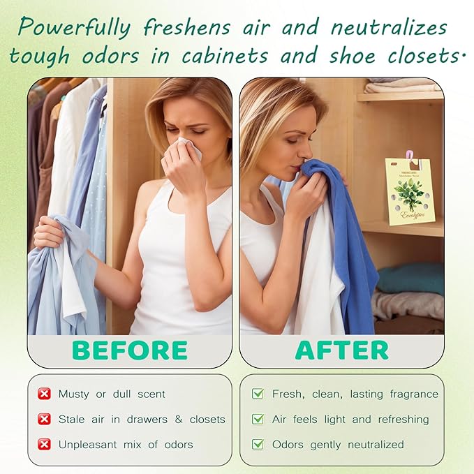 MR.A 13 Packs Eucalyptus Scented Sachets, Fragrance Sachet Bags for Drawers and Closets, Air Fresheners for Car and Home, Closet Deodorizer Scented Drawer Fresheners for Dresser with Hanger Hooks