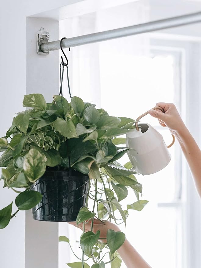 S Hooks for Hanging Clothes, Plants, S Hooks Heavy Duty, Black S Shaped Hooks, Small Metal Hook, 30 Pack