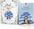 Ocean Scented Sachet Bags - 12 Pack Closet & Drawer Freshener, Long Lasting Odor Eliminator for Wardrobes, Cars & Storage, Home Fragrance Air Freshener Sachets