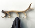 Black Forest Décor Antler Coat Rack – Rustic Wall-Mounted Polyresin Rack, 24" x 3" x 11"