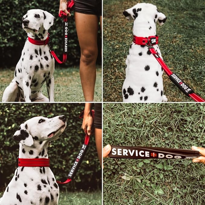 Tuff Pupper Waterproof Leash Sleeve | Fits Any Standard Size 1 Inch Wide Leash | Dual Sided Message | Durable Neoprene & Silicone | Odor & Stink Proof | Easy Secure On & Off (1 Pack, Service Dog)