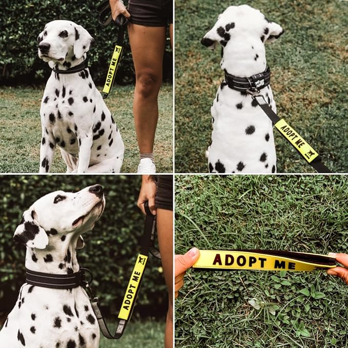 Tuff Pupper Waterproof Leash Sleeve | Fits Any Standard Size 1 Inch Wide Leash | Dual Sided Message | Durable Neoprene & Silicone | Odor & Stink Proof | Easy Secure On & Off (1 Pack, Adopt Me)