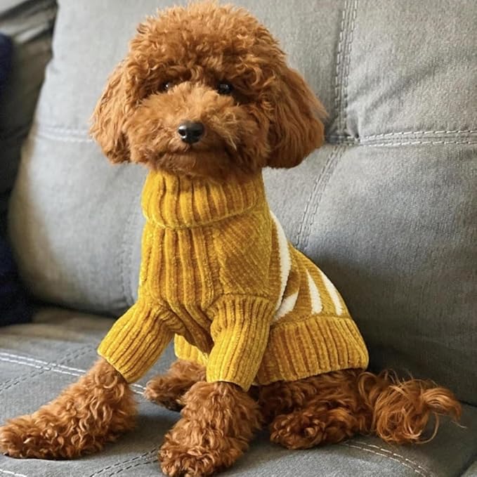 Blueberry Pet Cozy Soft Chenille Classy Striped Dog Sweater in Mustard, Back Length 10", Pack of 1 Clothes for Dogs