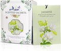 Jasmine Scented Sachet Bags - 12 Pack Closet & Drawer Freshener, Long Lasting Odor Eliminator for Wardrobes, Cars & Storage, Home Fragrance Air Freshener Sachets