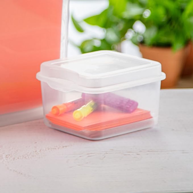 Sterilite 18038612 Small Flip Top Storage Box (24)