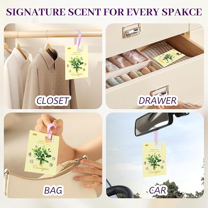 MR.A 13 Packs Eucalyptus Scented Sachets, Fragrance Sachet Bags for Drawers and Closets, Air Fresheners for Car and Home, Closet Deodorizer Scented Drawer Fresheners for Dresser with Hanger Hooks