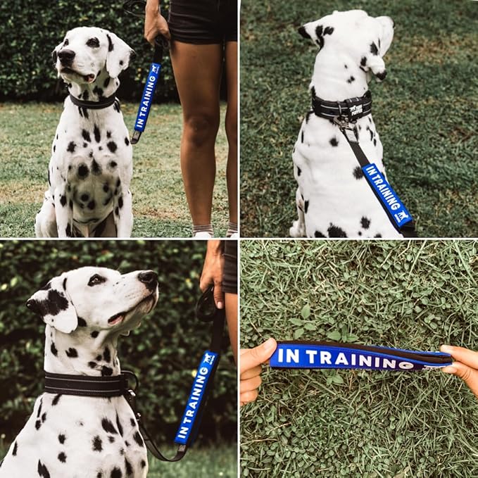 Tuff Pupper Waterproof Leash Sleeve | Fits Any Standard Size 1 Inch Wide Leash | Dual Sided Message | Durable Neoprene & Silicone | Odor & Stink Proof | Easy Secure On & Off (1 Pack, in Training)
