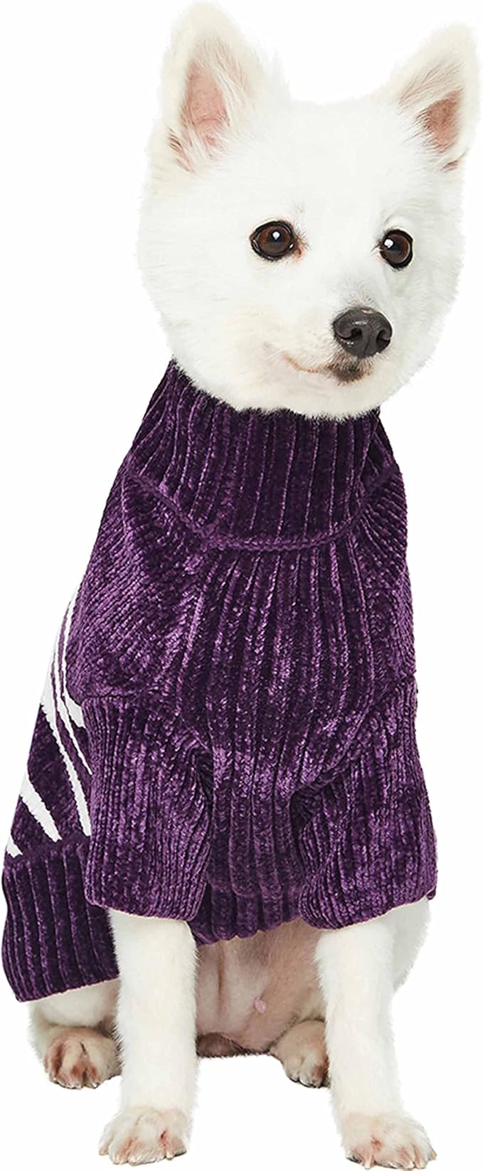 Blueberry Pet Cozy Soft Chenille Classy Striped Dog Sweater in Dark Plum, Back Length 12", Pack of 1 Clothes for Dogs