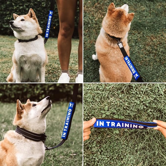 Tuff Pupper Waterproof Leash Sleeve | Fits Any Standard Size 1 Inch Wide Leash | Dual Sided Message | Durable Neoprene & Silicone | Odor & Stink Proof | Easy Secure On & Off (1 Pack, in Training)