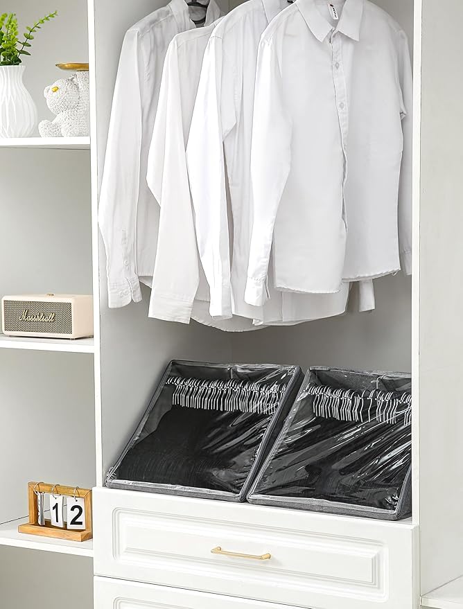 Qozary 2 Pack Upright Clothes Hanger Organizer Bag for Tangle-Free - Dual Compartments Hanger Storage Containers with Clear Cover for Closet Laundry Room, Foldable Organizer with Carry Handle
