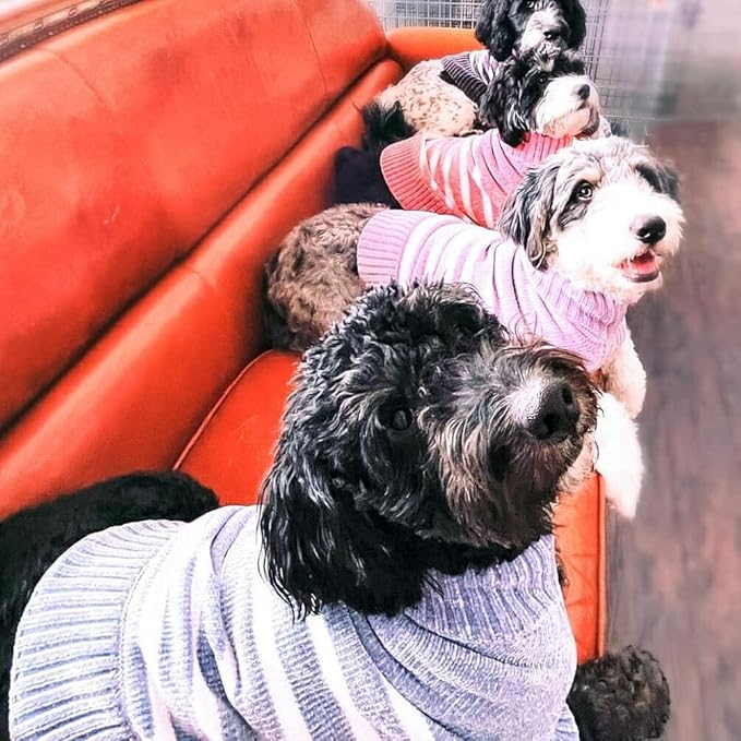 Blueberry Pet Cozy Soft Chenille Classy Striped Dog Sweater in Dusty Rose, Back Length 20", Pink Clothes for Dogs