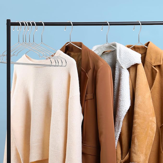 30 Pack Wire Hangers, 16.5 Inch Metal Clothes Hangers, Stainless Steel Coat Hanger with Non Slip Notch, Heavy Duty Closet Hanger Ultra Thin Space Saving for Hanging Coats Shirts T-Shirt