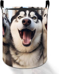 Husky Laundry Basket Hamper for Boys Girls Kids Adults, Foldable Waterproof Oxford Clothes Storage Bin, Funny Dog Organizer for Bedroom Bathroom Room Decor 19.7"x15.8"