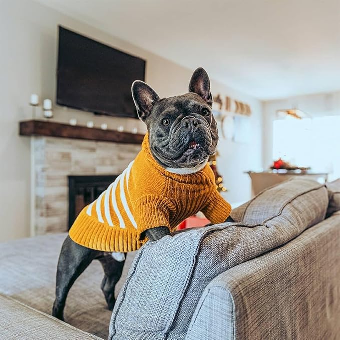 Blueberry Pet Cozy Soft Chenille Classy Striped Dog Sweater in Mustard, Back Length 14", Cat Sweater, Small Dog Sweater