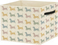 Colorful Dachshund Dog Storage Bin Box with Handles, Weiner Dog Dachshund Gifts Foldable Baskets Organizer for Bedroom Bathroom Kids Room Clothes Toys Books, Toybox for Boys Girls