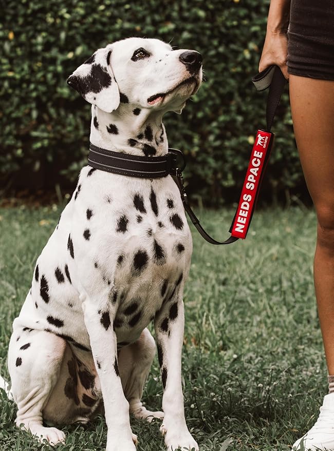 Tuff Pupper Waterproof Leash Sleeve | Fits Any Standard Size 1 Inch Wide Leash | Dual Sided Message | Durable Neoprene & Silicone | Odor & Stink Proof | Easy Secure On & Off (1 Pack, Needs Space)