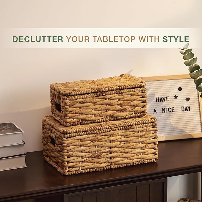 Set of 2 Wicker Baskets with Lid - Decorative Storage Boxes for Home Decor, Shelves - Woven Basket with Lid - Wicker Decor - Rattan Box - Decorative Bins with Lids (Natural)