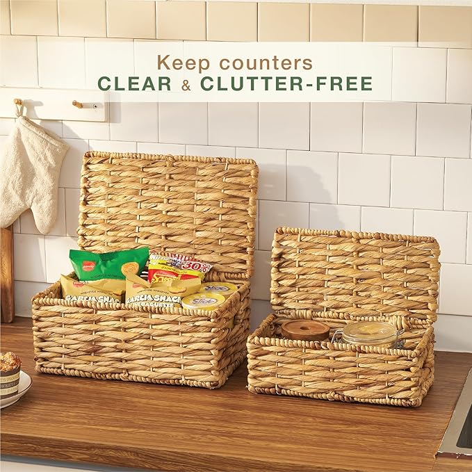 Set of 2 Wicker Baskets with Lid - Decorative Storage Boxes for Home Decor, Shelves - Woven Basket with Lid - Wicker Decor - Rattan Box - Decorative Bins with Lids (Natural)