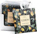 12 Pack Large Lemon Scented Sachets – Hanging Closet & Drawer Deodorizer & Air Freshener, Long-Lasting Aroma