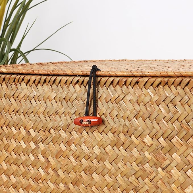 Wicker Shelf Baskets with Lid,Natural Seagrass Storage Basket Boxes Handwoven Rectangular Baskets Bins Multipurpose Home Organizer Decor (Large)