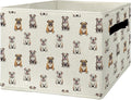 English Bulldog Gifts Storage Bins & Boxes with Handles, Dog Foldable Basket for Organizing Dog Lovers, English Bulldog Collapsible Laundry Hampers Basket for Bedroom Bathroom Clothes Toys Books